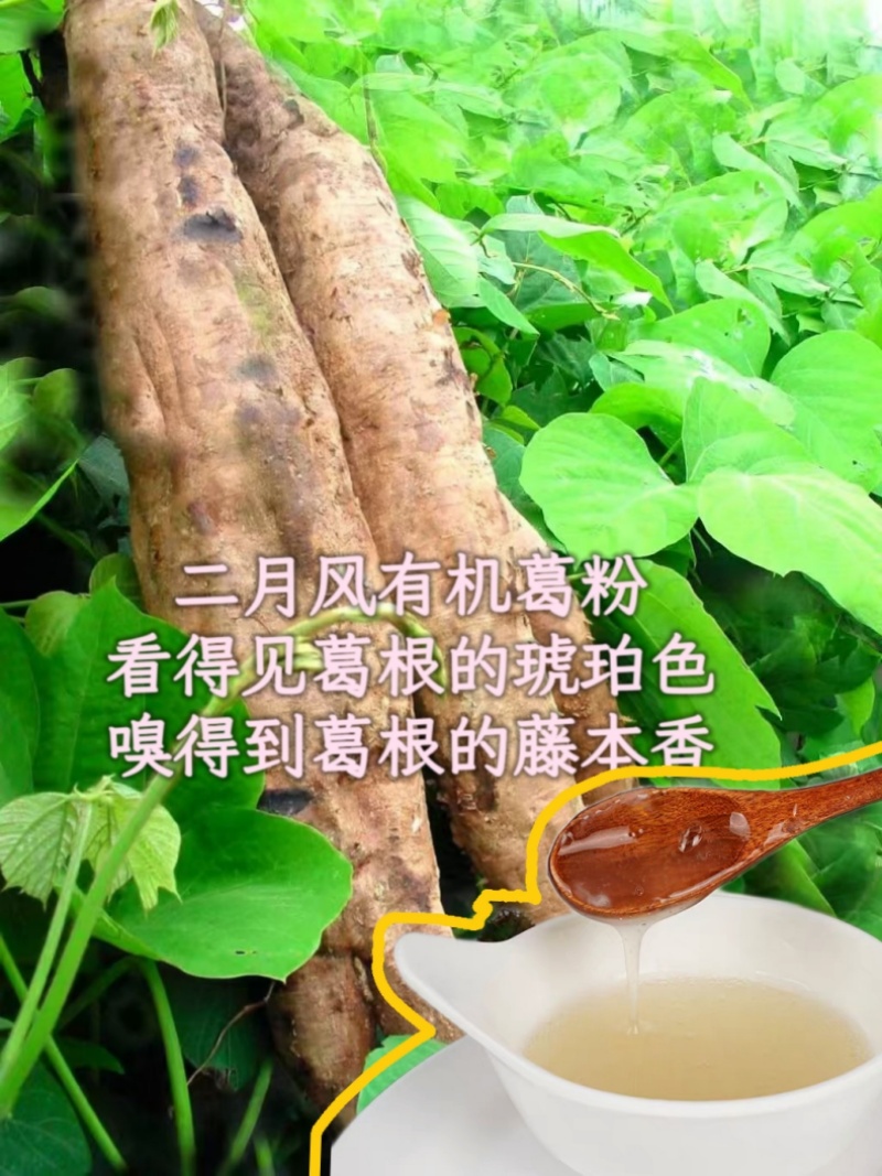 二月風(fēng)有機(jī)葛粉，看得見葛根的琥珀色，嗅得到葛根的藤本香_800.jpg