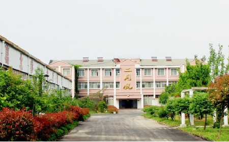 二月風野生葛根粉，當代年輕人的反焦慮新寵