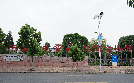 當(dāng)定制葛粉時(shí)，我們真正在選擇什么？