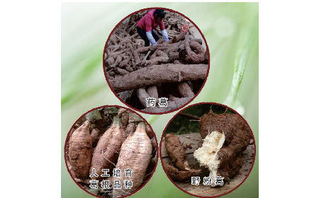 買葛粉是買野生的好？還是野生有機(jī)的好？