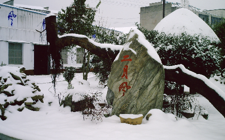 二月風致老友：一碗葛根粉的牽掛，農(nóng)博會上的重逢之約二月風盼老友：農(nóng)博會上，再續(xù)葛粉情緣