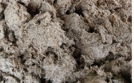 深入大洪山，只為一口純凈 -二月風(fēng)今冬野生葛根收購紀(jì)實(shí)